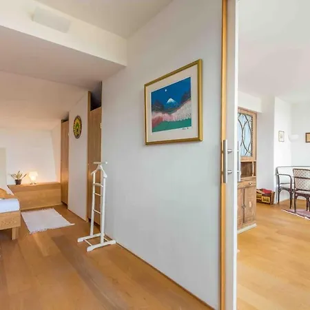 Apartment Whirlpool , Dachterrasse , Wienblick , Zwei Etagen