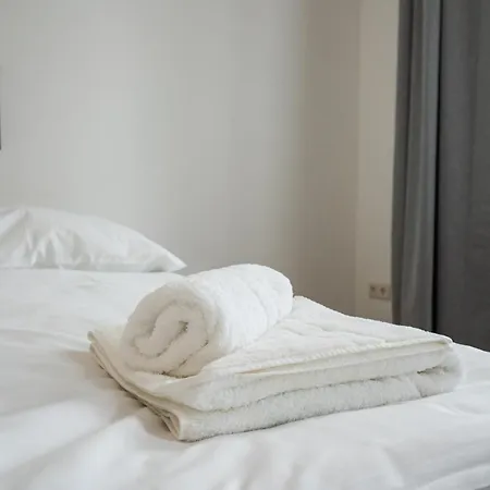 Central Spacious With A King-size Bed * Vienna
