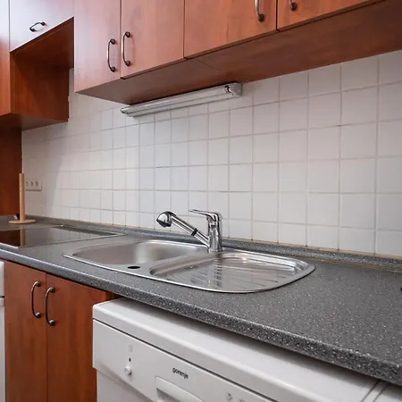 Central Spacious With A King-size Bed Apartment Vienna