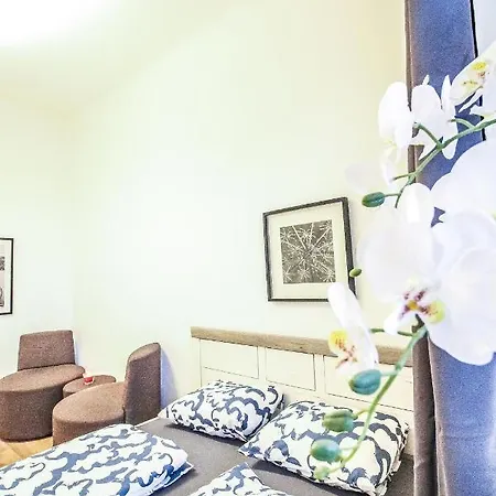 Apartment Superior Double Lv B *
