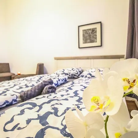 Apartment Superior Double Lv B *
