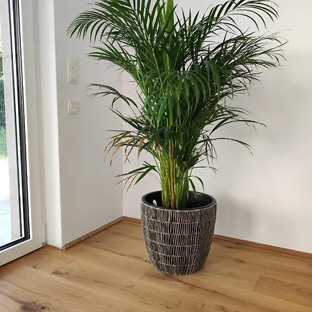 Apartment Roksox-home Gegenueber Der Uno-city Und Kaiserwasser Vienna