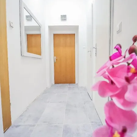 Comfort Quad Hn Apartment *