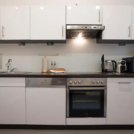 Spacious 110м2 Flat In The Center Apartment Vienna