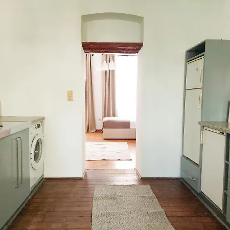 Hidden Garden - Spacious Modern - 1 Min To City Shuttle Apartment *