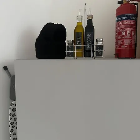 Klimatisiertes Dachgeschoss In Zentrum Wiens דירה *
