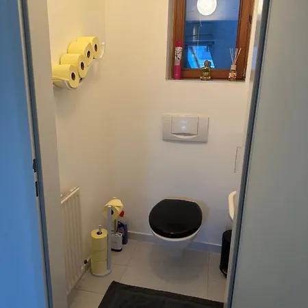 Apartment Klimatisiertes Dachgeschoss City In Zentrum Wiens *