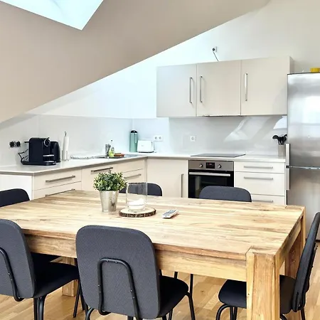 Spacious Penthouse In Favoriten