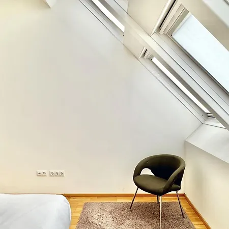 Spacious Penthouse In Favoriten *