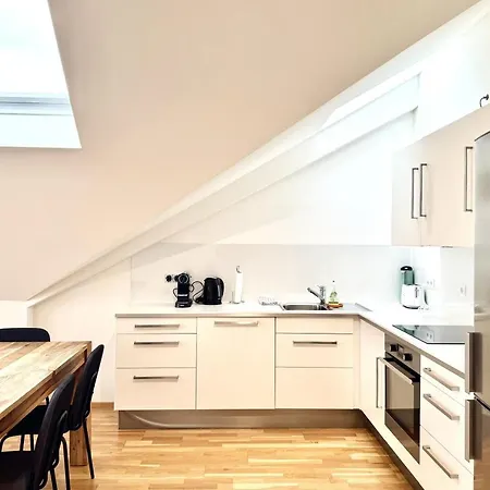 Spacious Penthouse In Favoriten Wien