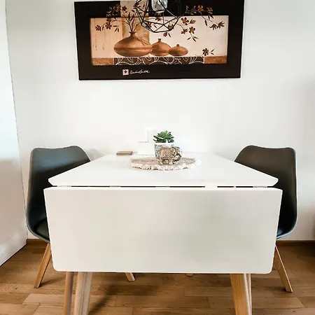 - Modern New Apartment, Old Danube Apartment Vienna