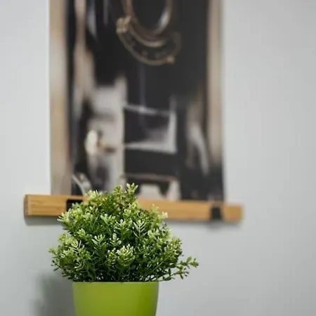 Apartament Huge Flat With Terrace & Parking And 3 Bed *