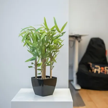 Relaxed Zen-apartment In Area And Amazing View *
