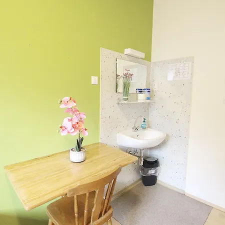 Homestay Single In Hutteldorfer Strasse Area Vienna