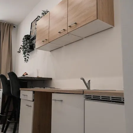 Apartment Wl #16h *