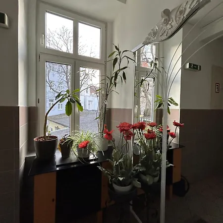Apartment Reiner *