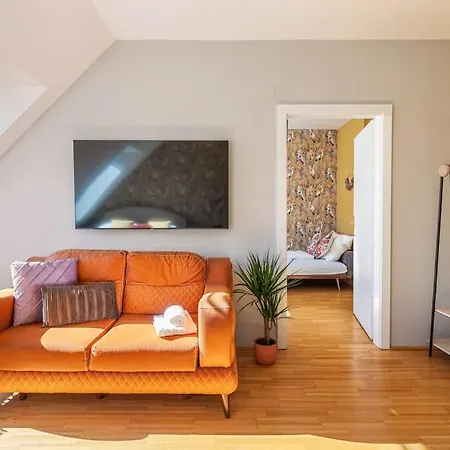 Apartment Dry Flower Apt. / 2br. / Rooftop / New