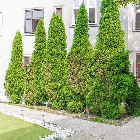 Apartment Welcoming 1br Apt- Near U6 Station Am Schoepfwerk Vienna