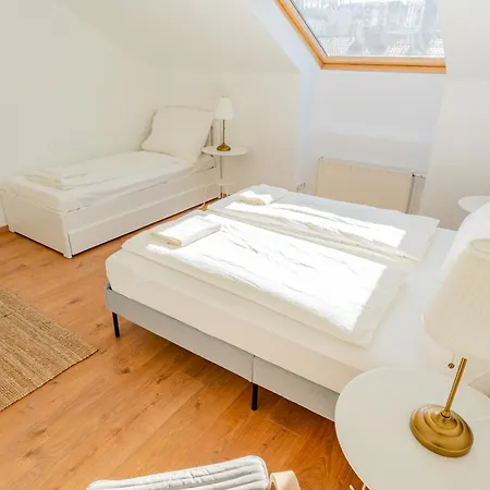 Luxury Penthouse - Augarten