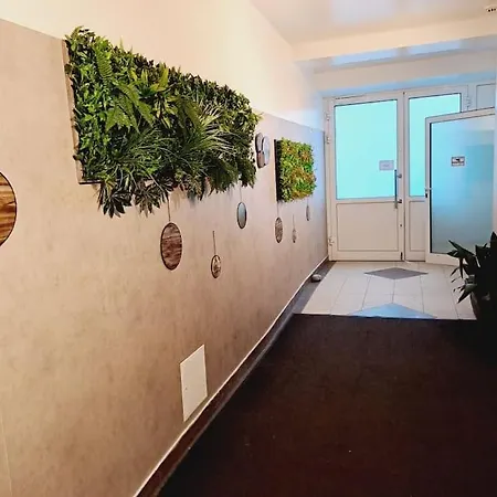 Erleben Sie L Bg3 Apartment
