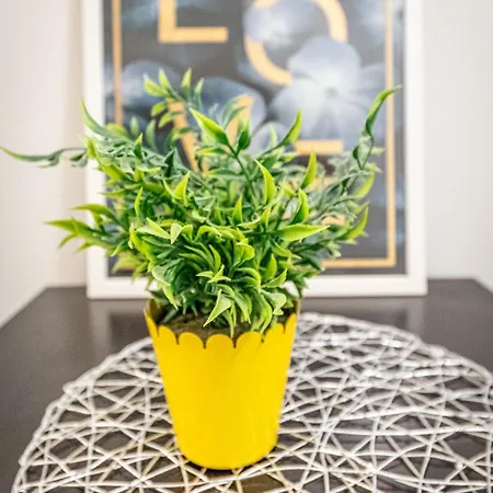 & Affordable By Jr Homestay Vienna