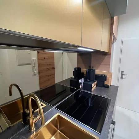Luxurious One Near Schoenbrunn Palace Apartment Wien