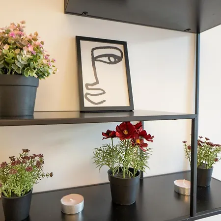 Supreme City Center Apartment *