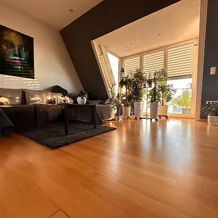 City-penthouse Mit 4 Terassen Und Whirlpool Apartment Vienna