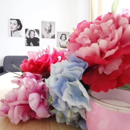Comfortable Near Schonbrunn Palace Homestay
