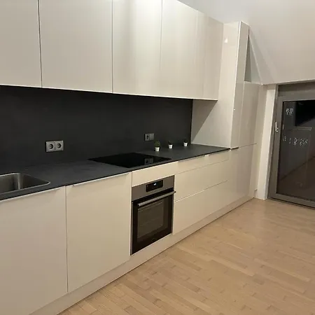115m2 Luxury Flat - 3 Balconies - Free Parking Apartment Vienna
