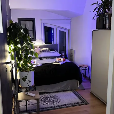 City-penthouse Mit 4 Terassen Und Whirlpool * Vienna