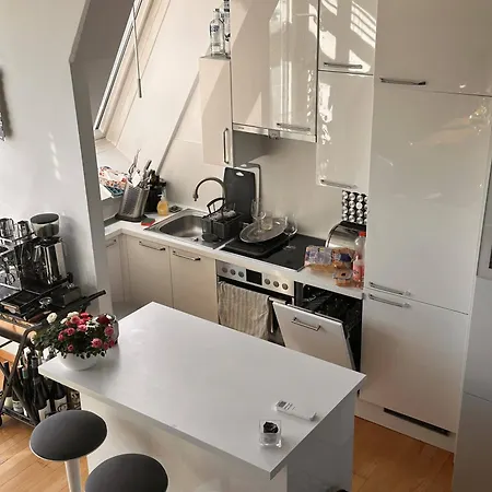 City-penthouse Mit 4 Terassen Und Whirlpool Vienna