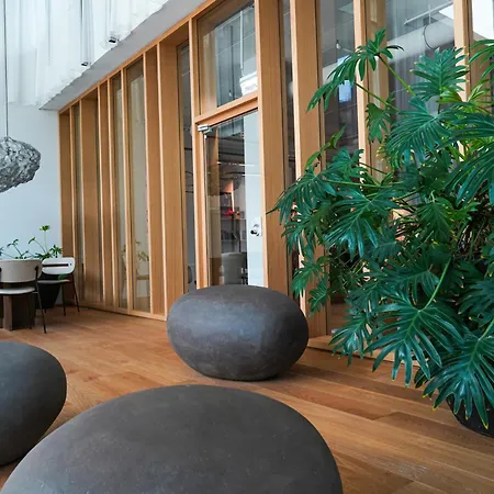 Relaxed Zen-apartment In Area And Amazing View Apartment *