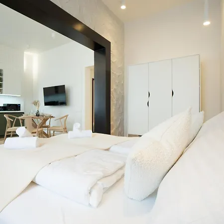 Brand-new 2-room With A King Size Bed Apartment Vienna