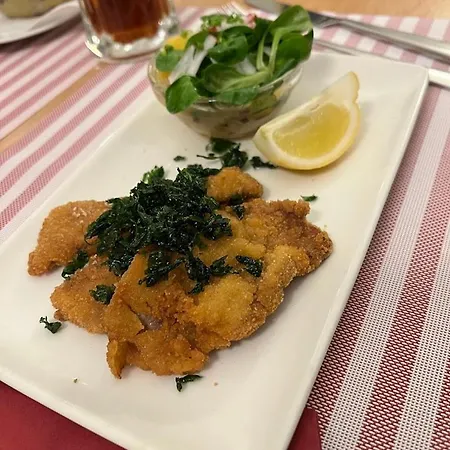 Moderne Trifft Tradition Im Herzen Wiens * Wien