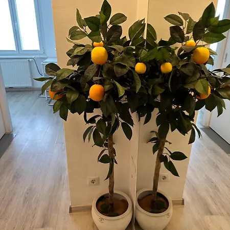 Apartament Opera