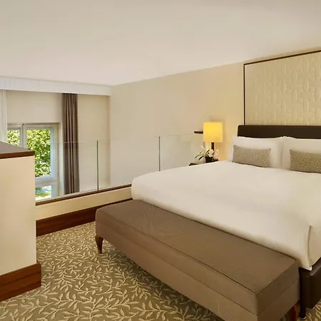 Hotel The Ritz-carlton,