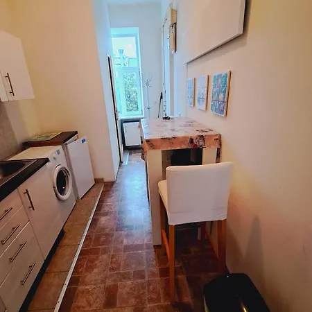 Relax 10 Minutes To Downtown Apartment Vienna