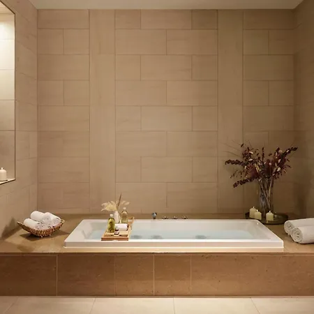 The Ritz-carlton, Viena