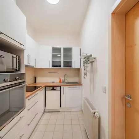 Next To Schoenbrunn - Free Parking !!! Apartmán