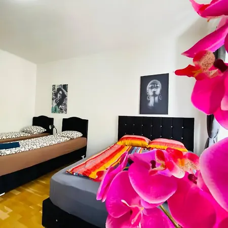 Deluxe Studio In Josefstaedter Strasse Area Wien