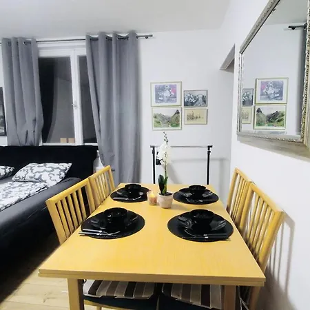 Modern In Millennium Area Apartment *