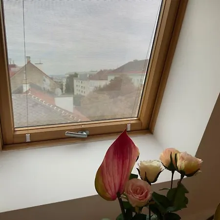Apartment The Viewpoint L Dg4'12 *
