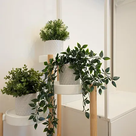 Apartment 71m² Modern In The Heart Of The