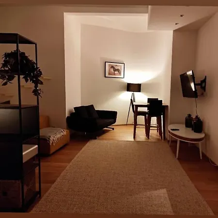 Apartment Designer Between Stephansdome And Belvedere Vienna