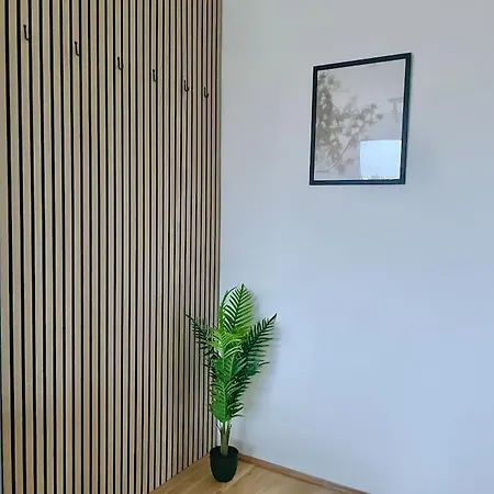 Modern Rooftop With Free Parking Apartment Vienna