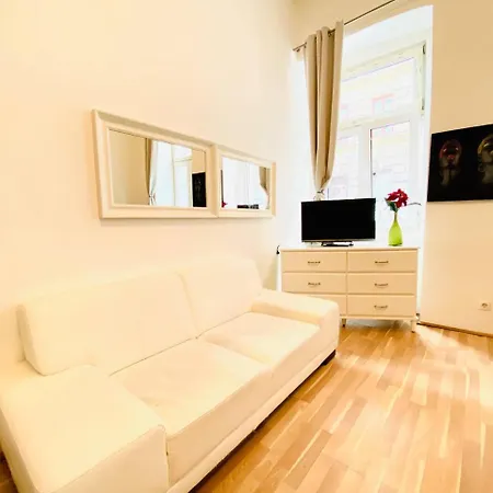 Cozy Studio Lg Apartment Vienna