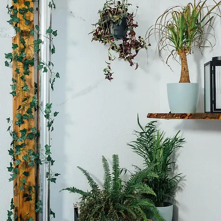 The Garage No.6 Apartment Vienna