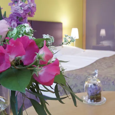 Appartement-hotel An Der Riemergasse Апарт-отель