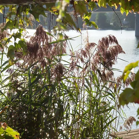 Strandhotel Alte Donau Hotel